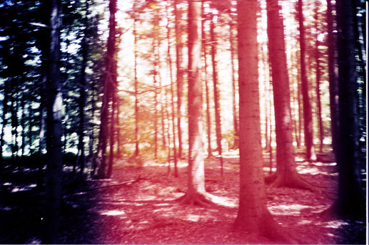 f02.jpg