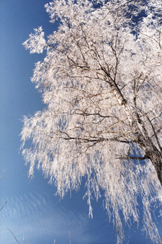 f04.jpg